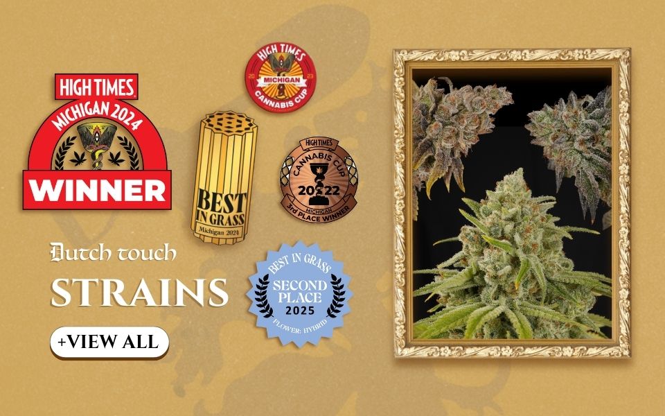 Dutch Touch Strains